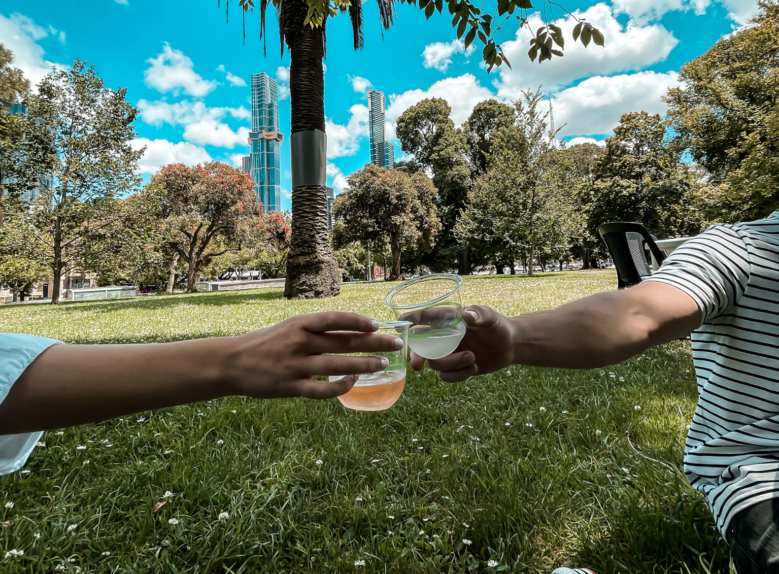 Drinks in the park